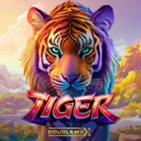 NUSANTARA88 - Tiger DoubleMax | nusantara88