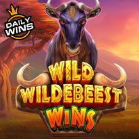 NUSANTARA88 - Wild Wildebeest Wins | slot online