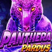NUSANTARA88 - Panthera Pardus | nusantara88